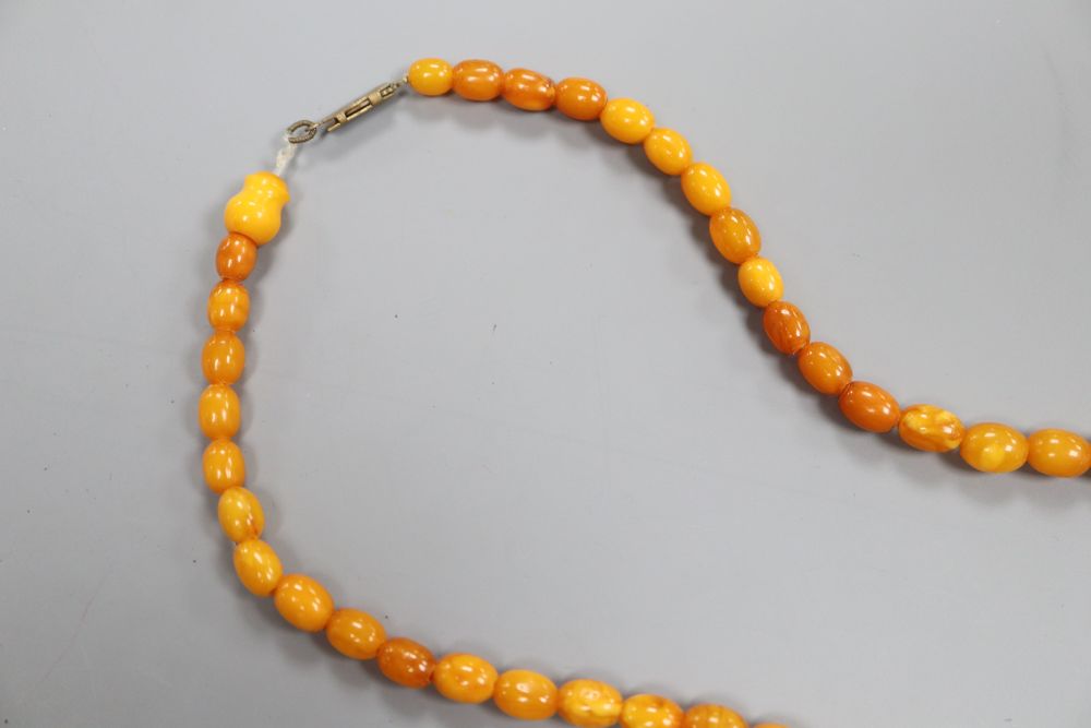 A small amber bead necklace, 18.3g gross